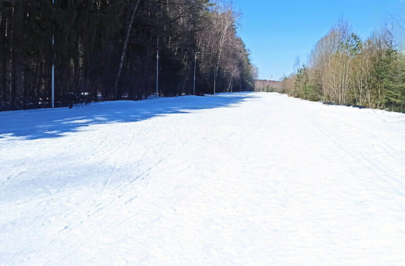Трасса лыжероллерная Лесная Троицк, состояние на 22 марта 2026 по отзыву, фото 2. 